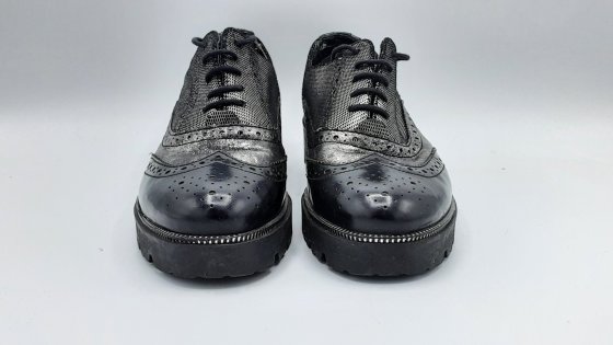 Derbies salamander