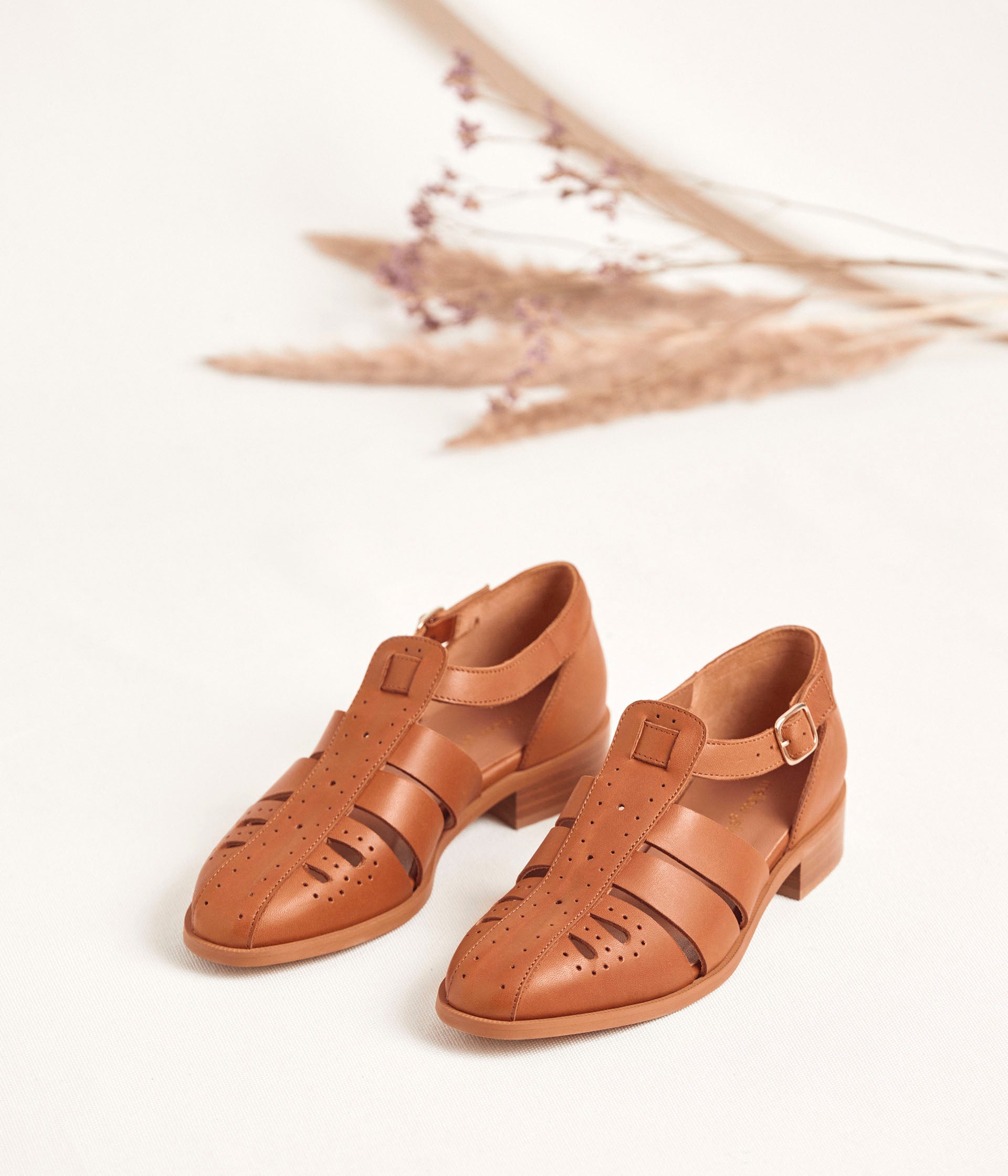 DERBY COLINE COGNAC