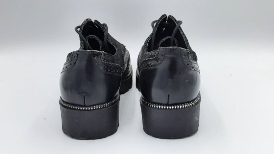 Derbies salamander