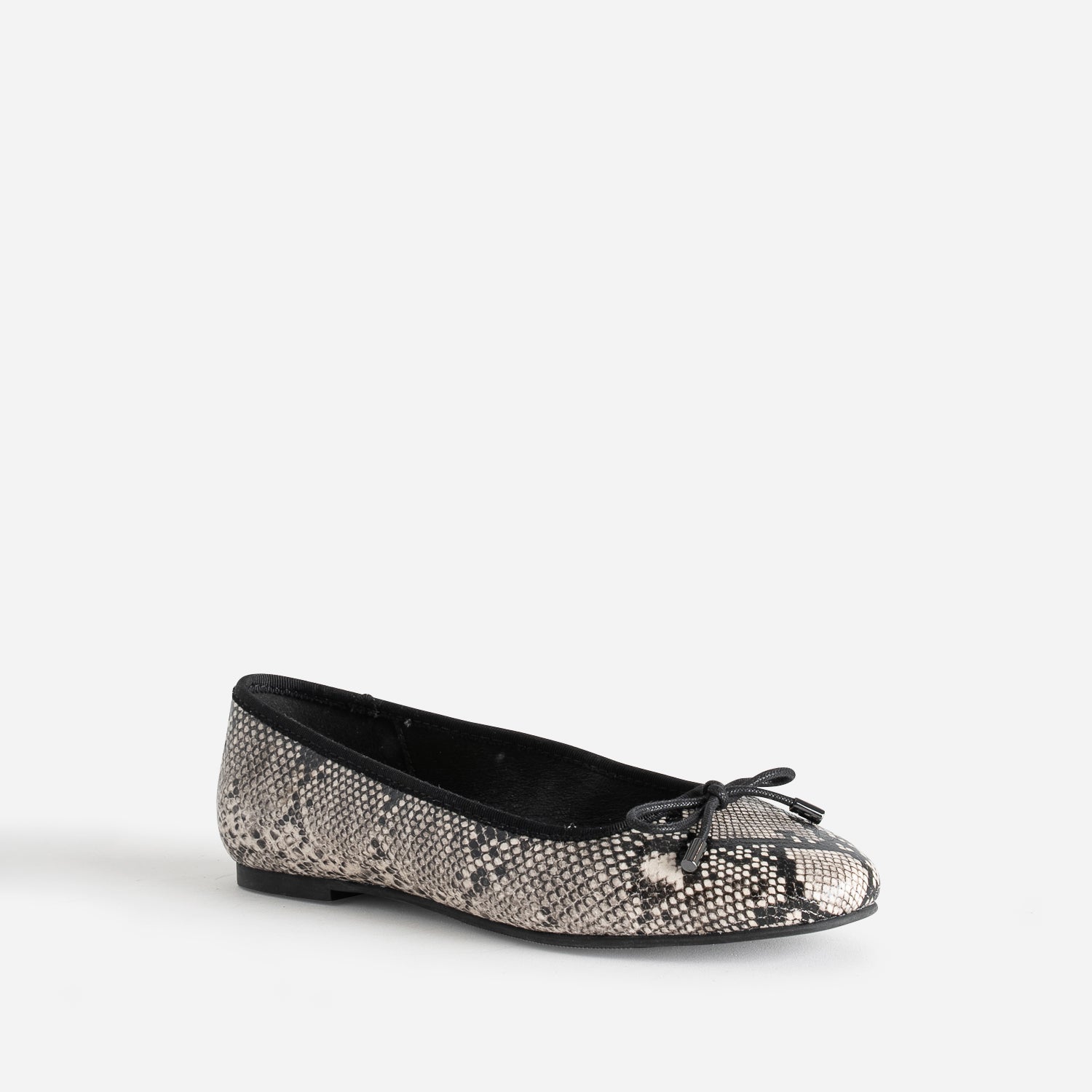 BALLERINE DIVA PYTHON