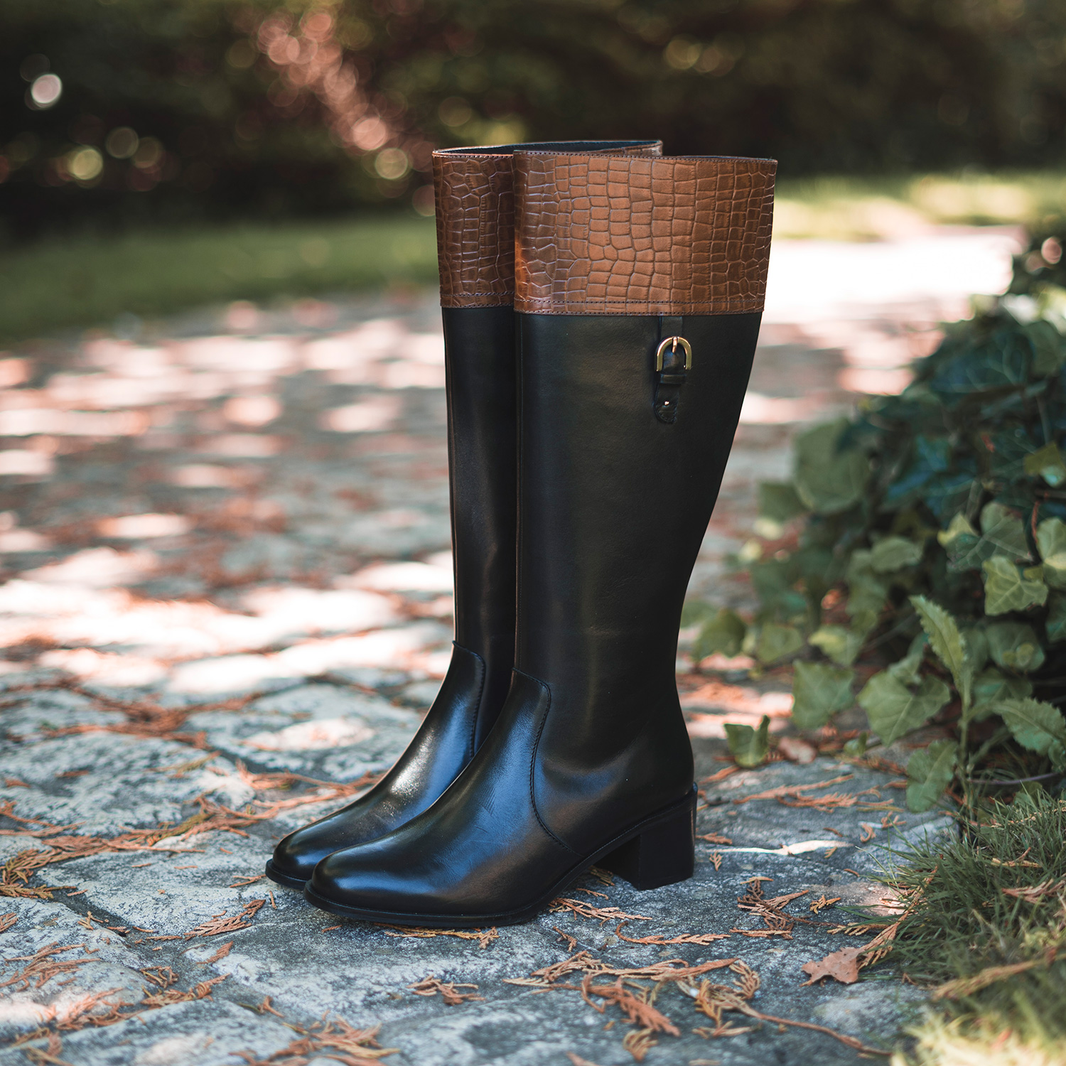 BOTTE FERGUS