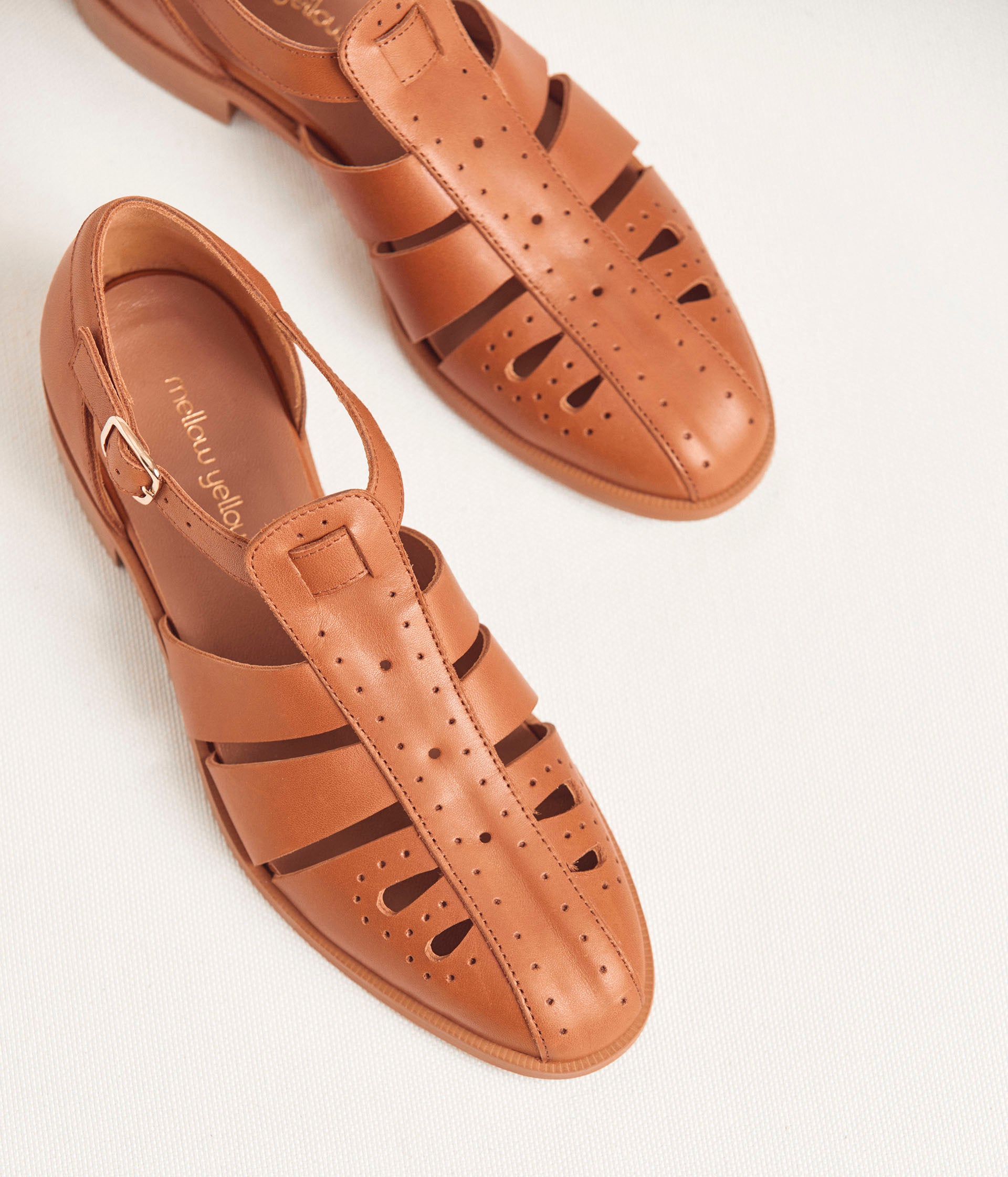 DERBY COLINE COGNAC