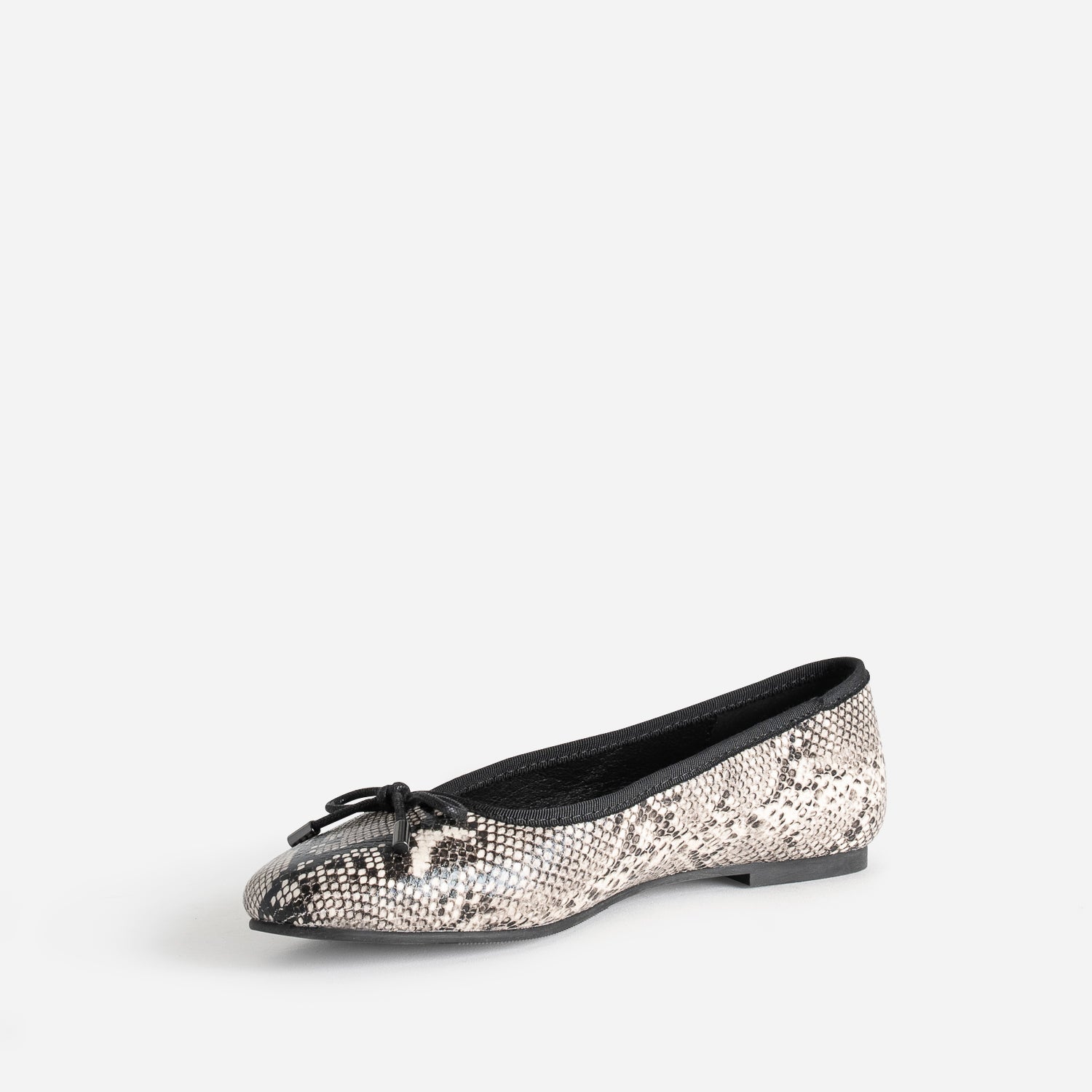 BALLERINE DIVA PYTHON