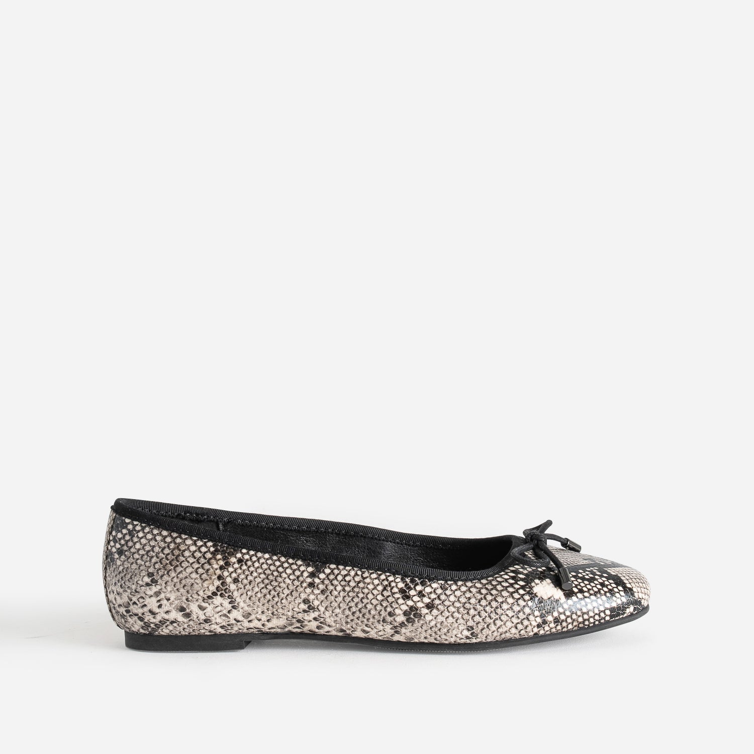 BALLERINE DIVA PYTHON
