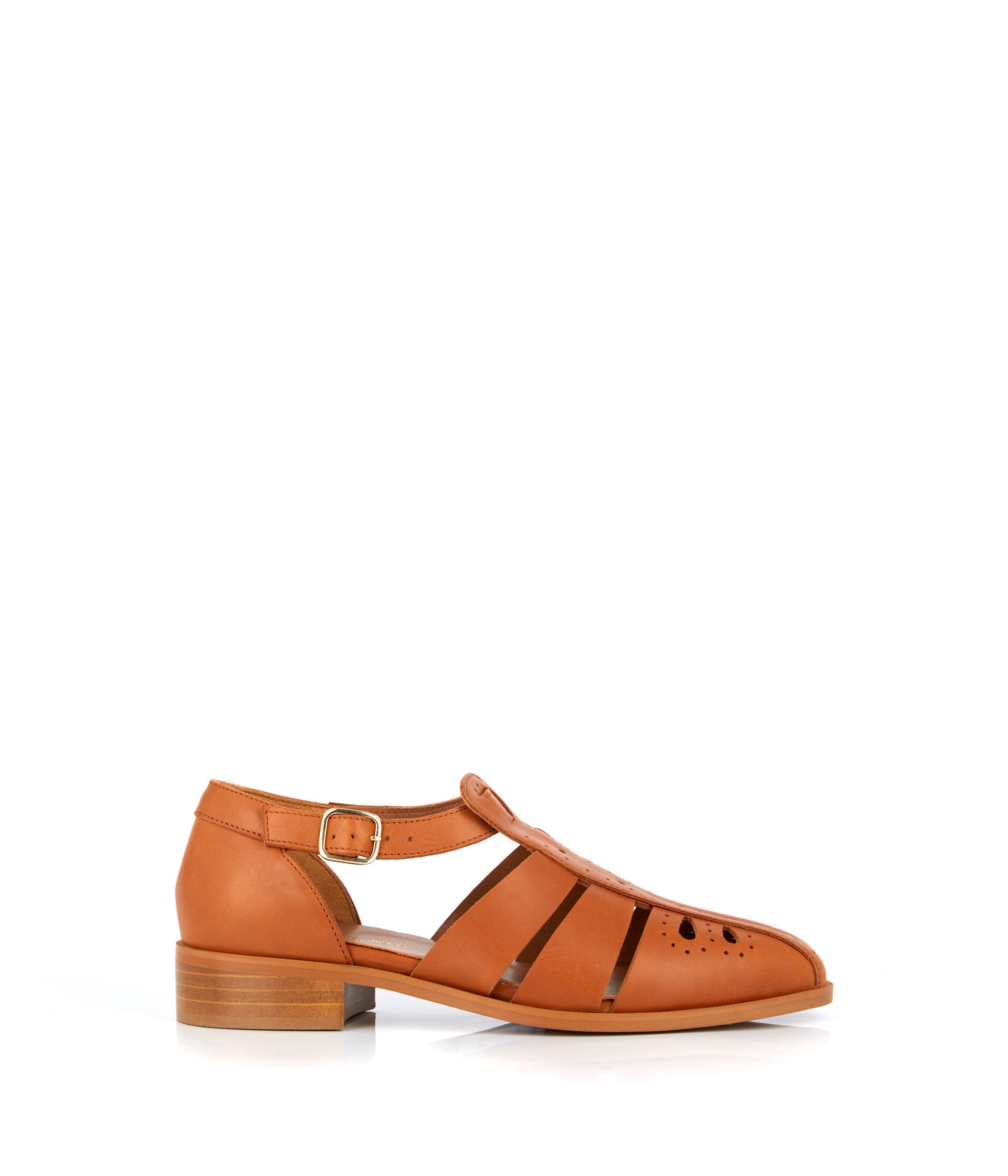 DERBY COLINE COGNAC