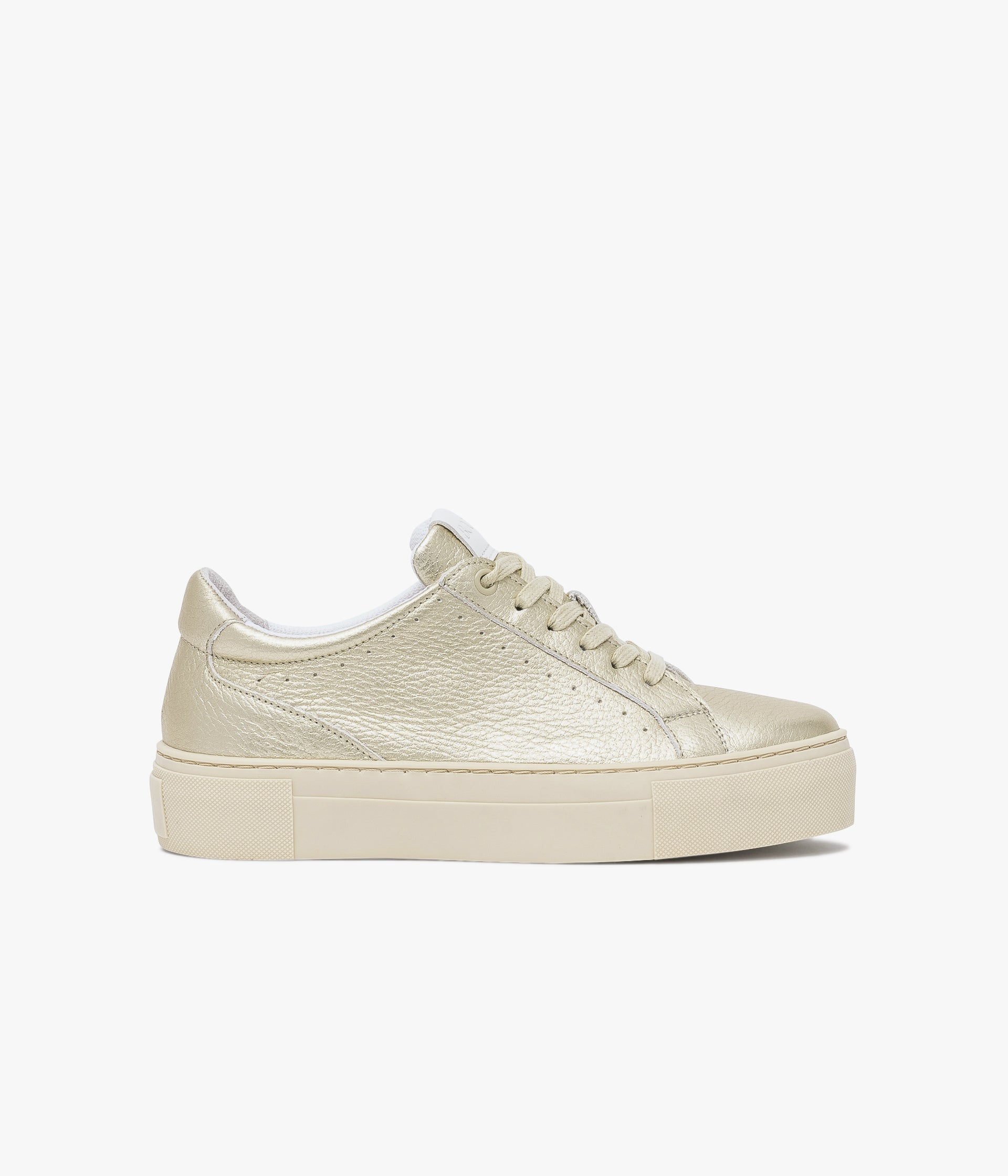 BASKET LIZON OR