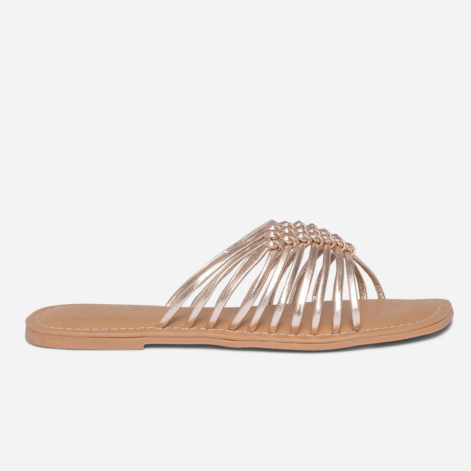 MULE RITCHIANA OR